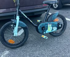 Boy Bicycle