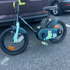 Boy Bicycle