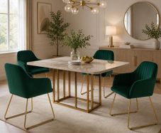 Set of 4 Velvet Dining Room with Back and Armrests