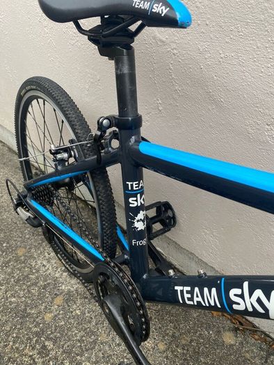 Kids 9spd Team Sky Edition Frog Racing Bike