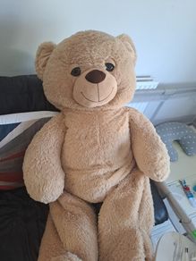 jumbo teddy