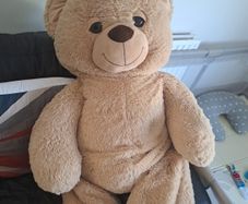 jumbo teddy