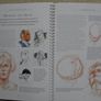 Learn to paint and draw, Hardback book,Art supplies,Book Image 3