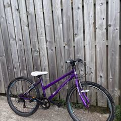 Purple Apollo Bike