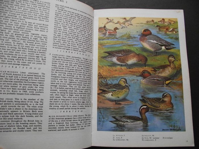 1972 "The Oxford Book of Birds"