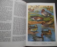 1972 "The Oxford Book of Birds"