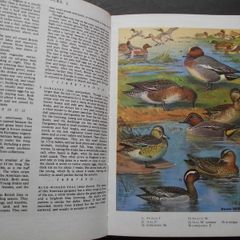 1972 "The Oxford Book of Birds"