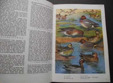 1972 "The Oxford Book of Birds"