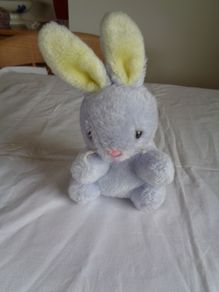 Cuddly Bunny Rabbit for Sale