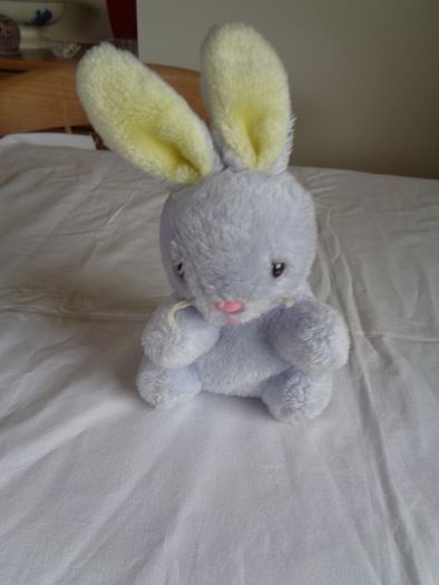 Cuddly Bunny Rabbit for Sale