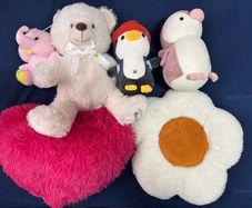 Soft Toys (All go together)