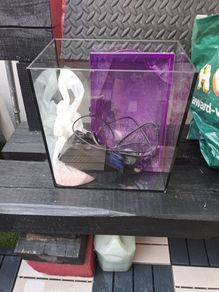 free fish tank