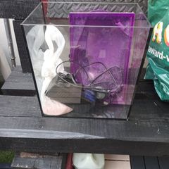 free fish tank