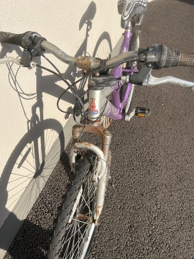 Raleigh Drift Bike