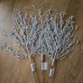 Christmas stems Image 5