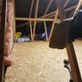 Attic ladder and storage Image 8