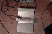 600w sodium light with ballast.