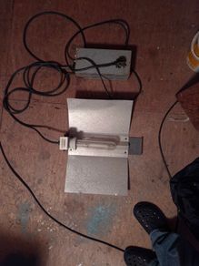 600w sodium light with ballast.