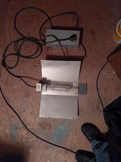 600w sodium light with ballast.