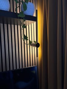 lights