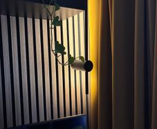 lights