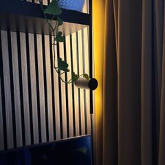 lights