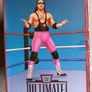 WWE Ultimate Edition Coliseum Collection Hart Foundation Image 2
