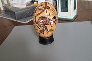 Emu egg Australian