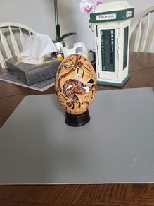 Emu egg Australian
