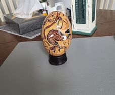 Emu egg Australian