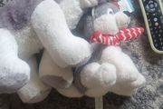 Husky soft toys