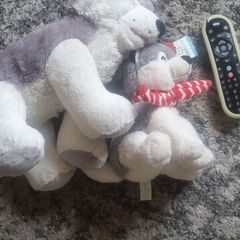 Husky soft toys