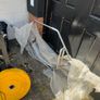 Various Pieces of Fitness Equipment Image 3