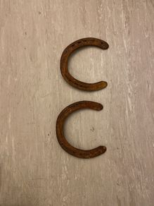 horseshoe