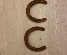 horseshoe