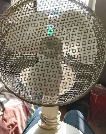 Electric fan