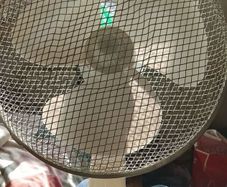 Electric fan