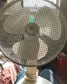 Electric fan