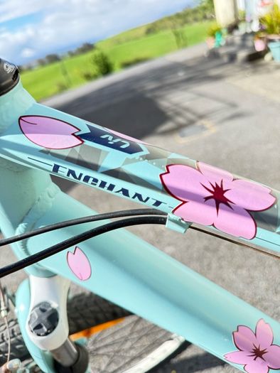 Liv Enchant 2 (by Giant) Womens Bike - Size M - Fully Serviced- 26" Wheels