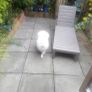 garden chair lounge Image 4
