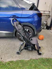 Travel buggy