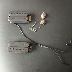 Yamaha Humbucker Set