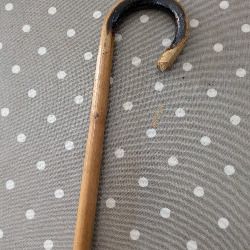 Walking Cane