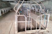 Milking parlor