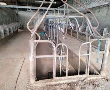 Milking parlor