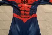 Spiderman Costume
