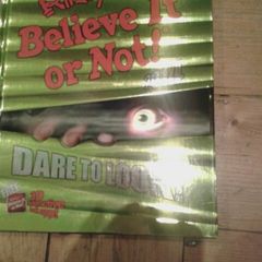 Ripleys 2014 Believe It or Not!