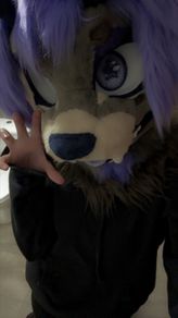 Canine fursuit partial
