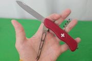 Victorinox Cheese Master 111mm Discontinued Special Edition Run Collectable Model Swiss Army Knife