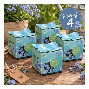 Buzzy Forget-Me-Not flower gift - pack of 4